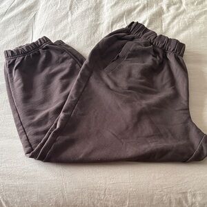 Aerie Woman’s Jet Setter Jogger Large in Deep Earth NWOT